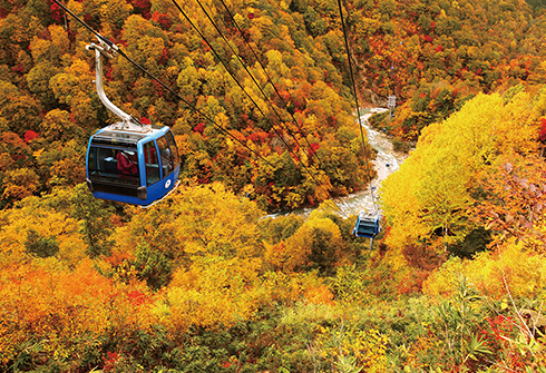 苗場ドラゴンドラ