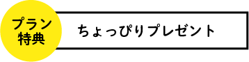 プラン特典　ちょっぴりプレゼント