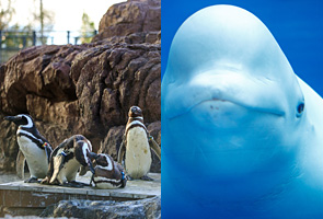 ��z�s�����������ف@���݂�����