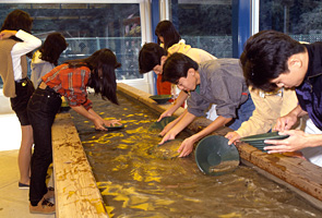 ���n���O��S�[���h�p�[�N